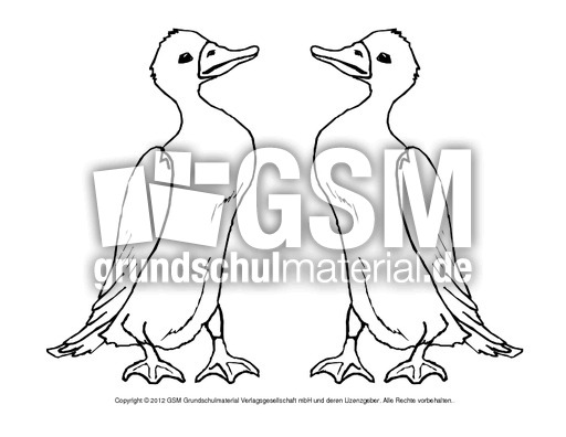 Ausmalbilder-Stockente 5.pdf